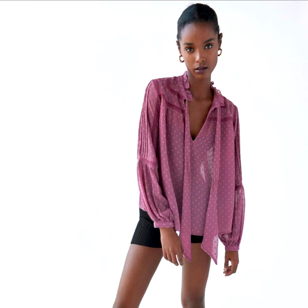 NWOT Zara Mauve Swiss Dot Blouse Sheer Long Sleeve Top with Neck Tie